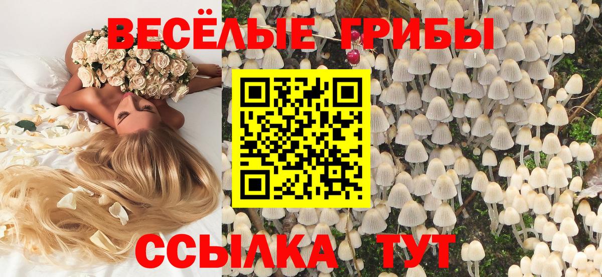 Псилоцибиновые грибы прущие грибы  Псилоцибиновые грибы мухоморы  цены   Каменск-Шахтинский  Вход с VPN 
