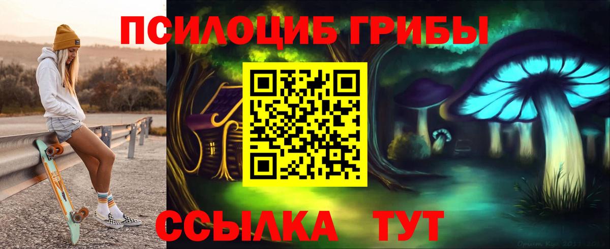 Псилоцибиновые грибы Psilocybe Каменск-Шахтинский