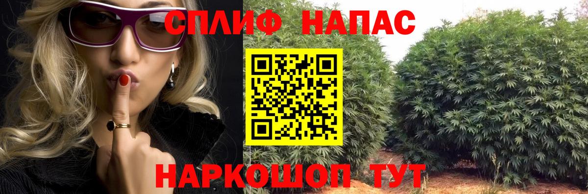 Бошки марихуана гибрид  Бошки Шишки Bruce Banner  Бошки Шишки план  Каменск-Шахтинский  Вход с VPN 